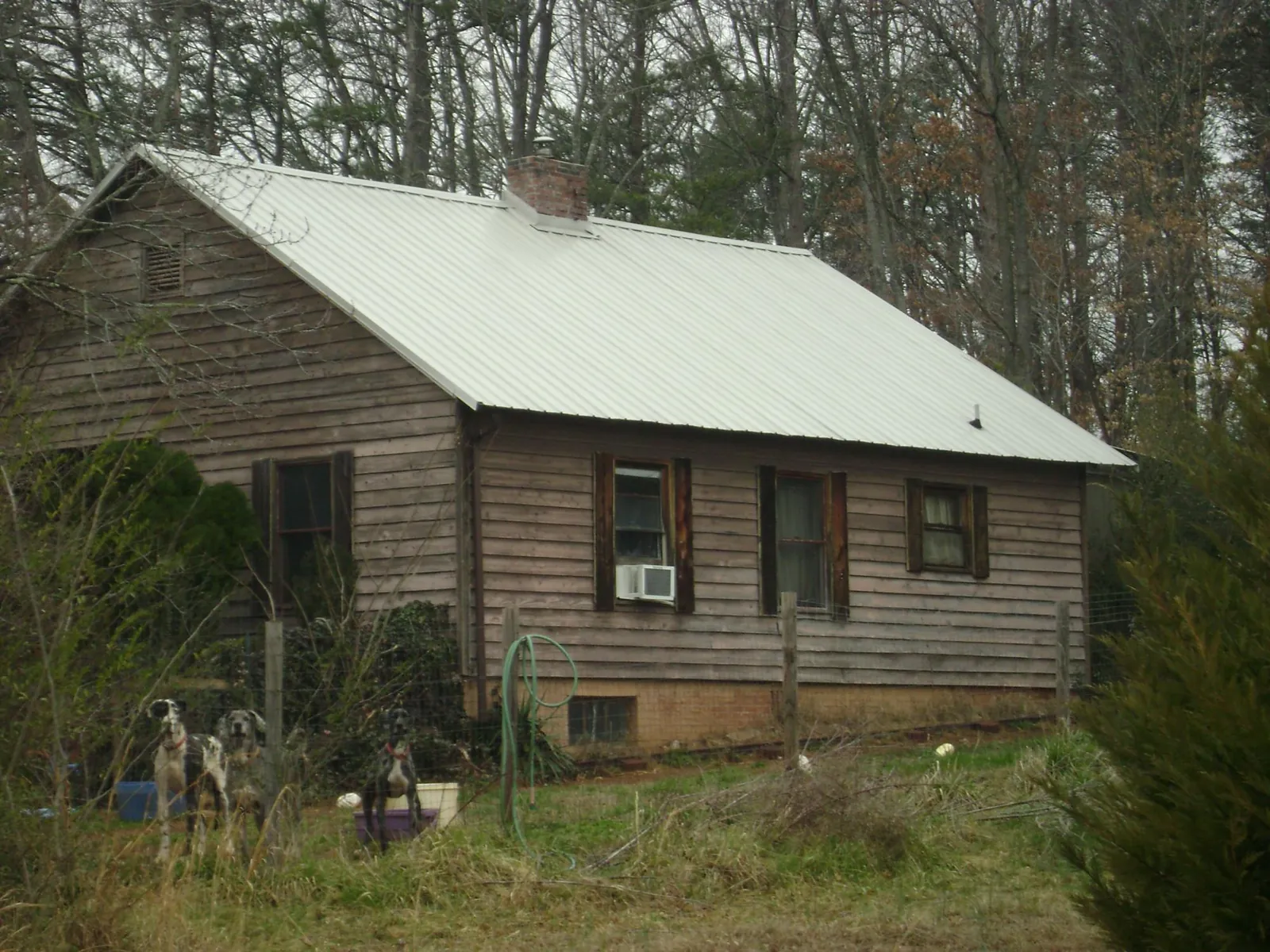 White metal roof on an old wood sided farmhouse, from a Asphalt Shingle Roof Repair job in Easthampton